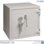 Pegasus VI - Light Grey
